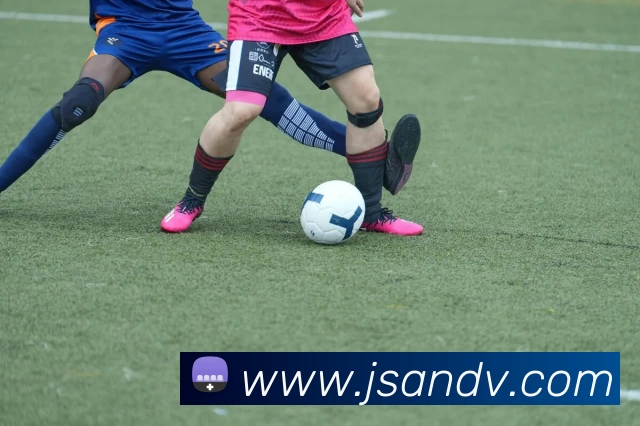 金沙国际娱乐城服务体系